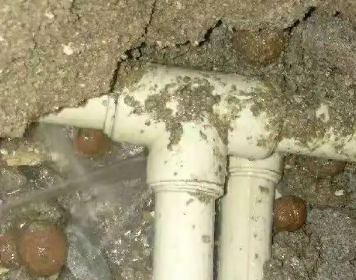 七里河测漏水多少钱