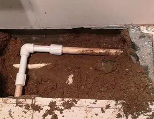 七里河测漏水哪家好