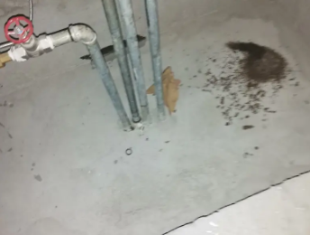 七里河卫生间测漏水价格明细