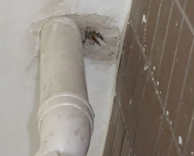 七里河漏水检测哪家好